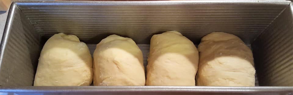 Place Rolled Dough into Pullman Pan
