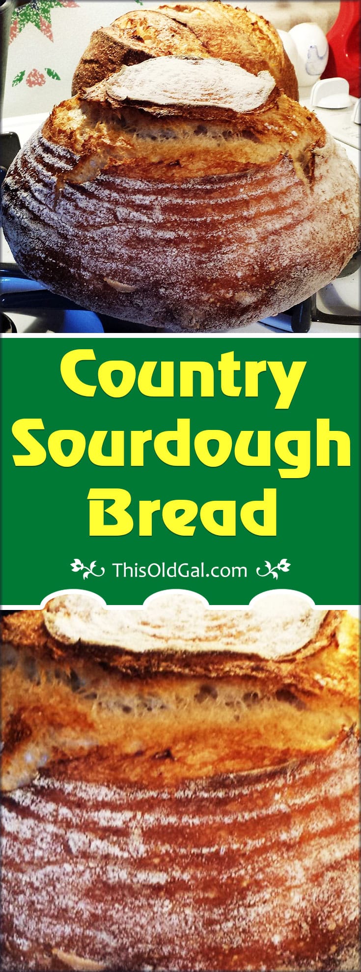 Country Sourdough Bread