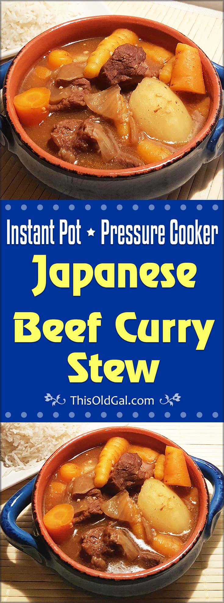 Pressure Cooker Japanese Beef Curry Stew (Instant Pot)