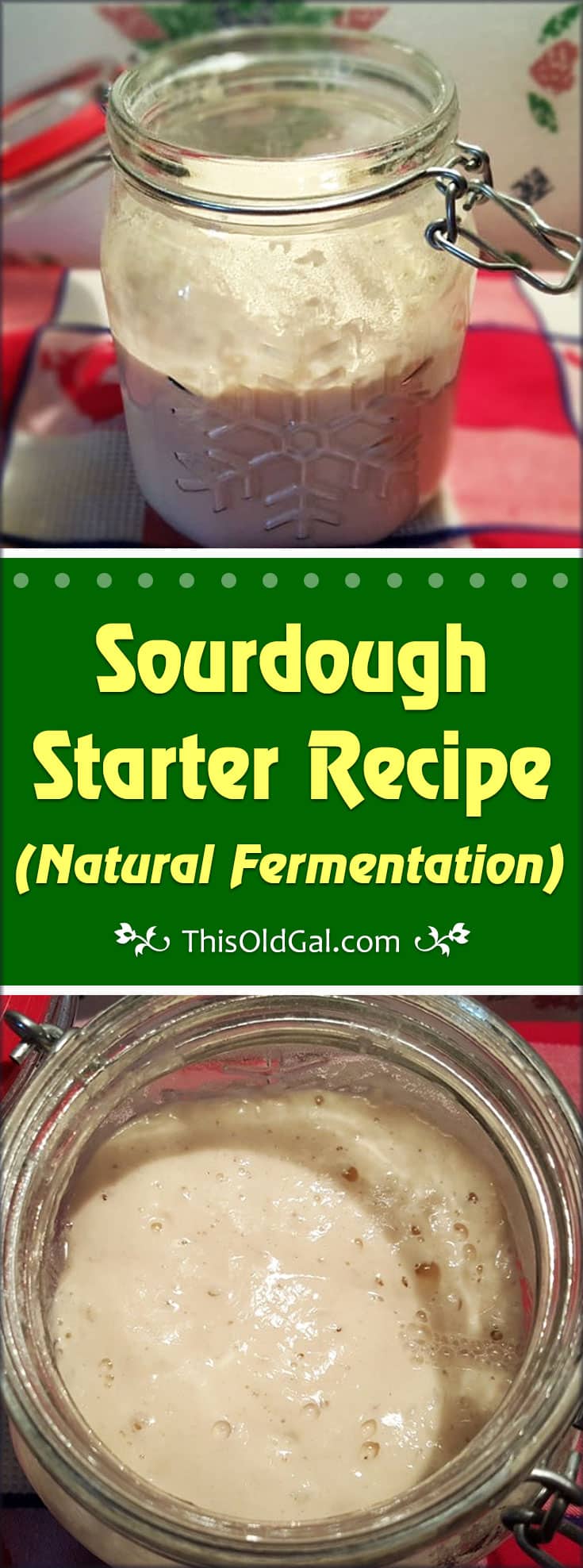 Sourdough Starter Recipe (Natural Fermentation)