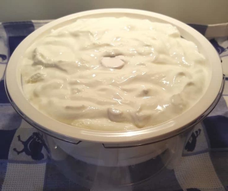 Instant Pot Greek Yogurt (Thick and Creamy) This Old Gal