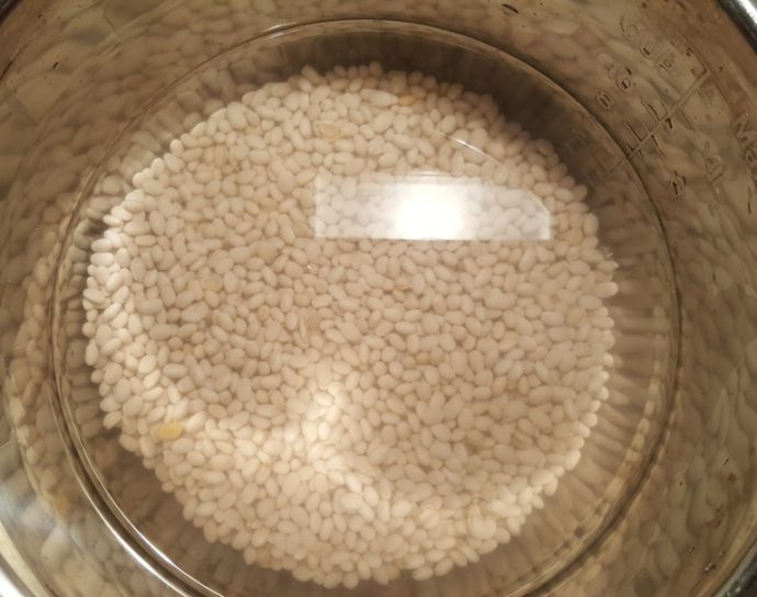 Instant Pot Baked Beans [Pressure Cooker] This Old Gal