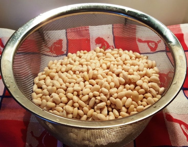 Instant Pot Baked Beans [Pressure Cooker] This Old Gal