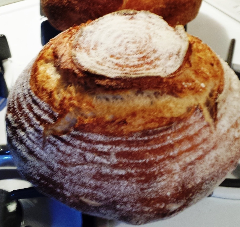Fresh Country Sourdough Bread