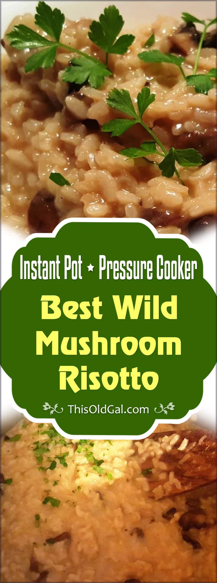 Pressure Cooker Best Wild Mushroom Risotto
