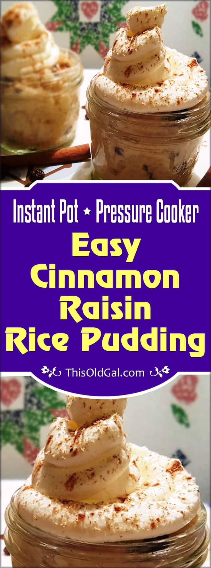 Pressure Cooker Easy Cinnamon Raisin Rice Pudding