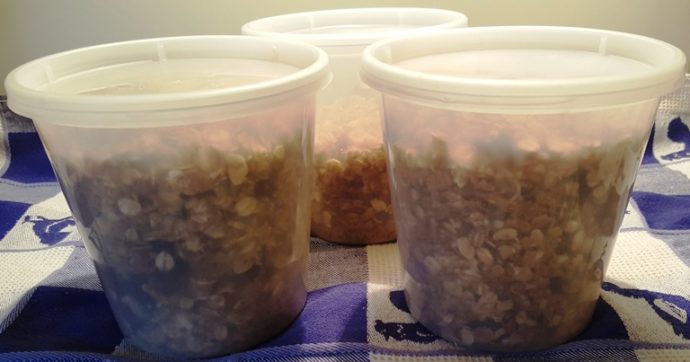Store Granola in Air Tight Containers