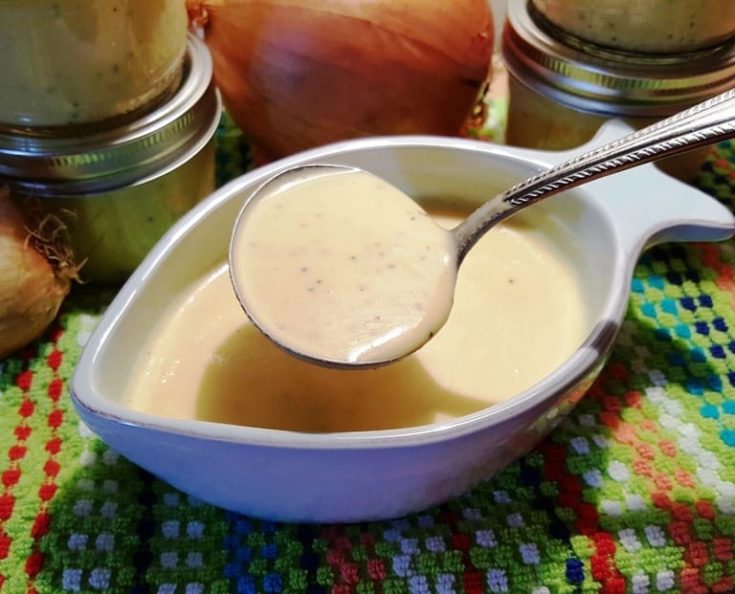 Sweet Vidalia Onion Salad Dressing and Marinade This Old Gal