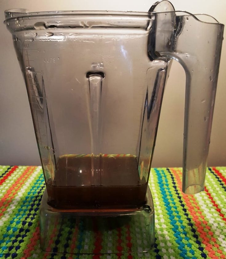 Vitamix Watermelon Lemonade Summer Beverage This Old Gal