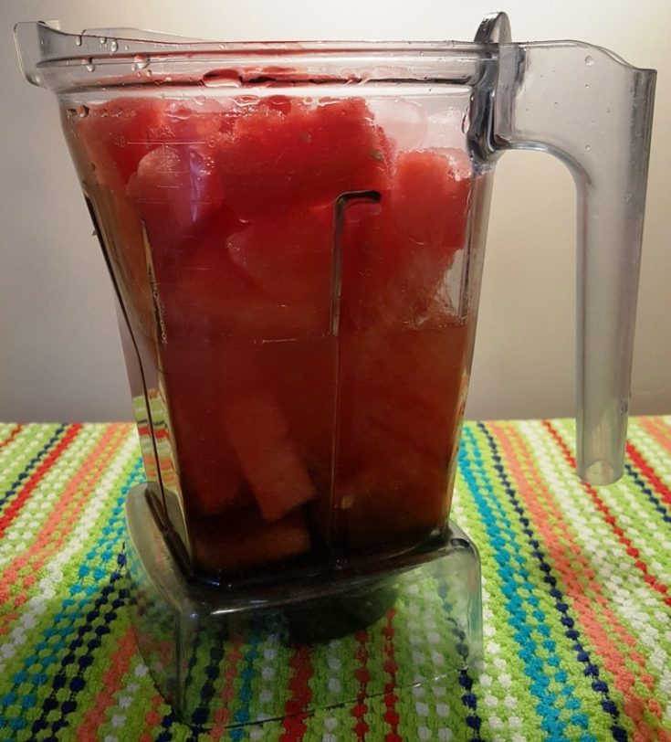 Vitamix Watermelon Lemonade Summer Beverage This Old Gal