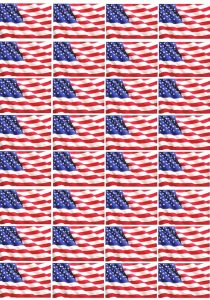 American flag blowing