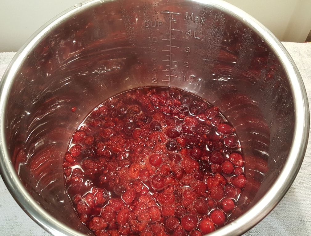 Allow cooked Raspberry Cranberry Puree to cool