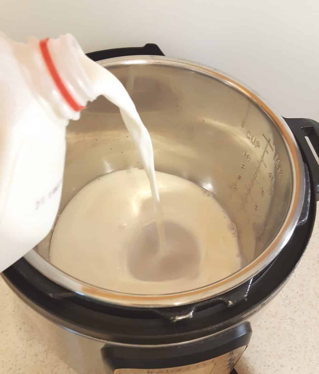 Pour the Milk into the Instant Pot