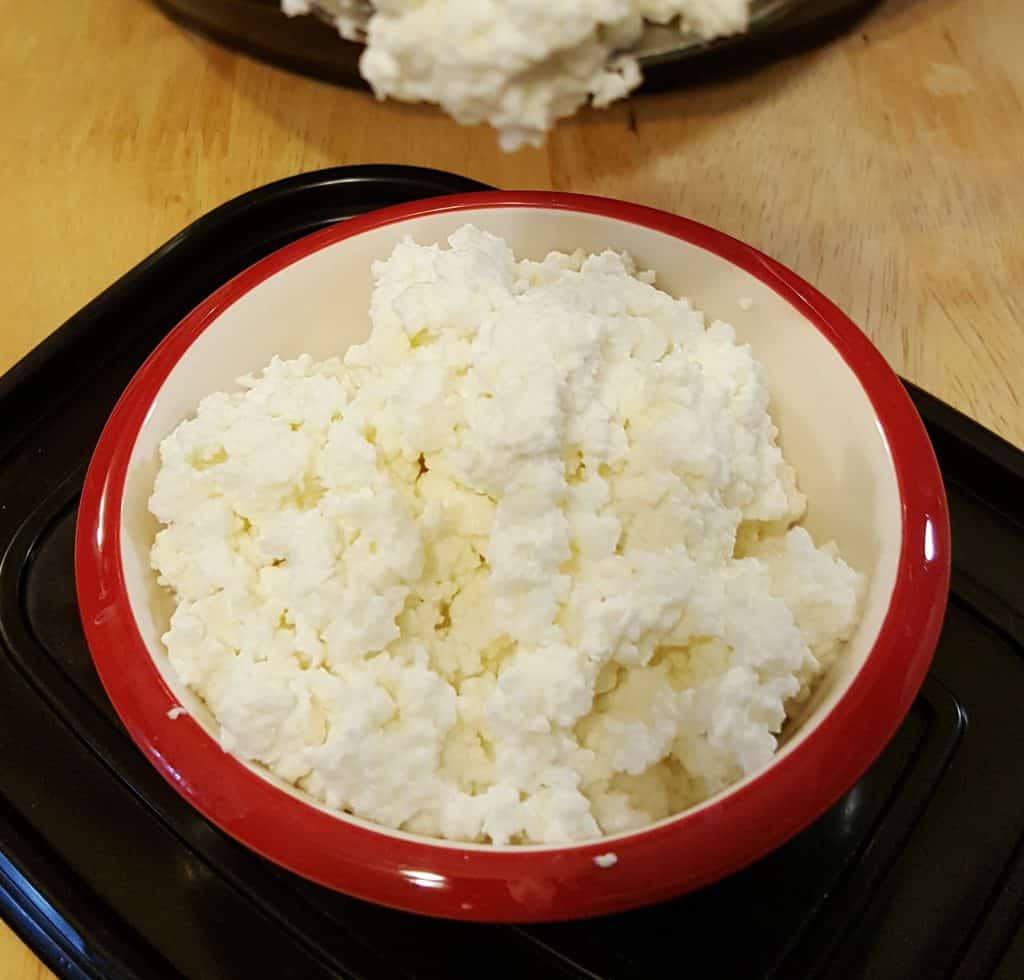 Instant Pot Homemade Cottage Cheese