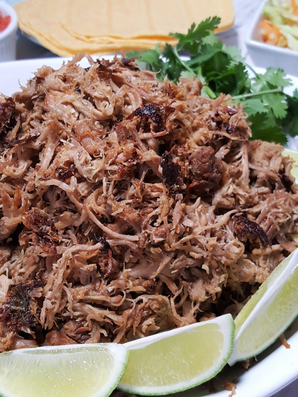 A plate of Pork Carnitas