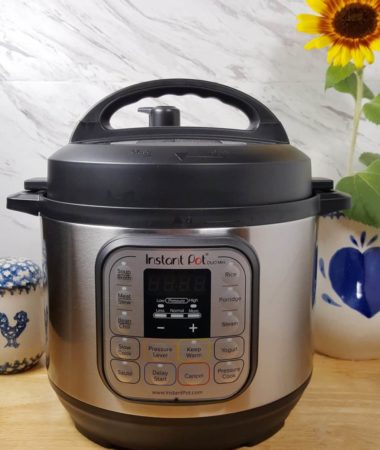 Instant Pot Duo Mini 7-in-1 Pressure Cooker Review