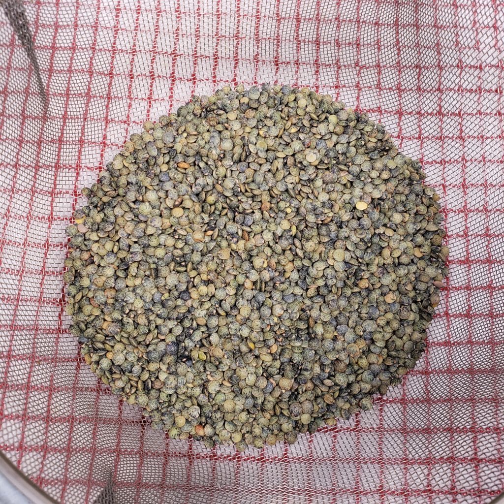 Rinse the Lentils to Check for Debris