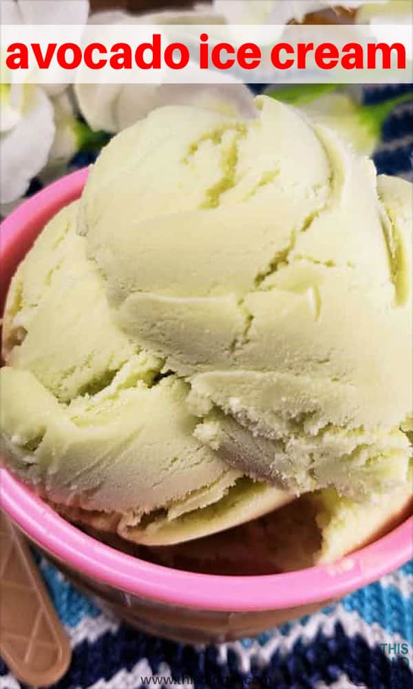 Homemade Avocado Ice Cream