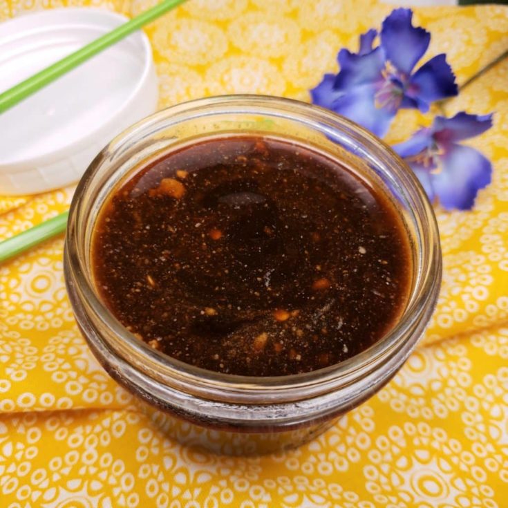 Homemade Asian Stir Fry Sauce & For Dipping This Old Gal