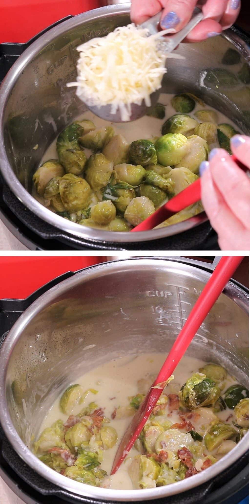 Low Carb Brussels Sprouts Alfredo Sauce + Video This Old Gal